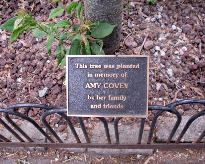 Amy Covey Memorial Treet, Christopher Street, Greenwich Village, New York City